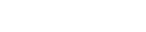 light logo